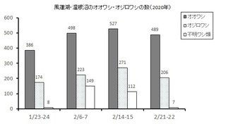 ワシ類調査全4回結果グラフ.jpg